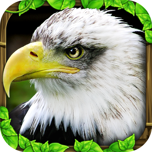 eagleride