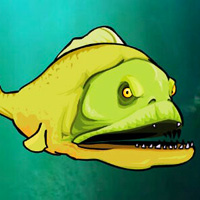 feedus5